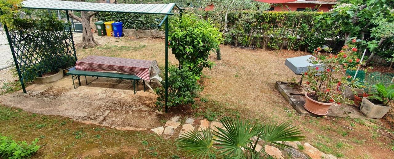 Cecillia Mare Apartments Ρόβινι Εξωτερικό φωτογραφία