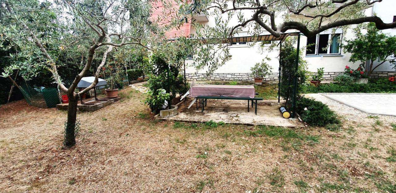 Cecillia Mare Apartments Ρόβινι Εξωτερικό φωτογραφία