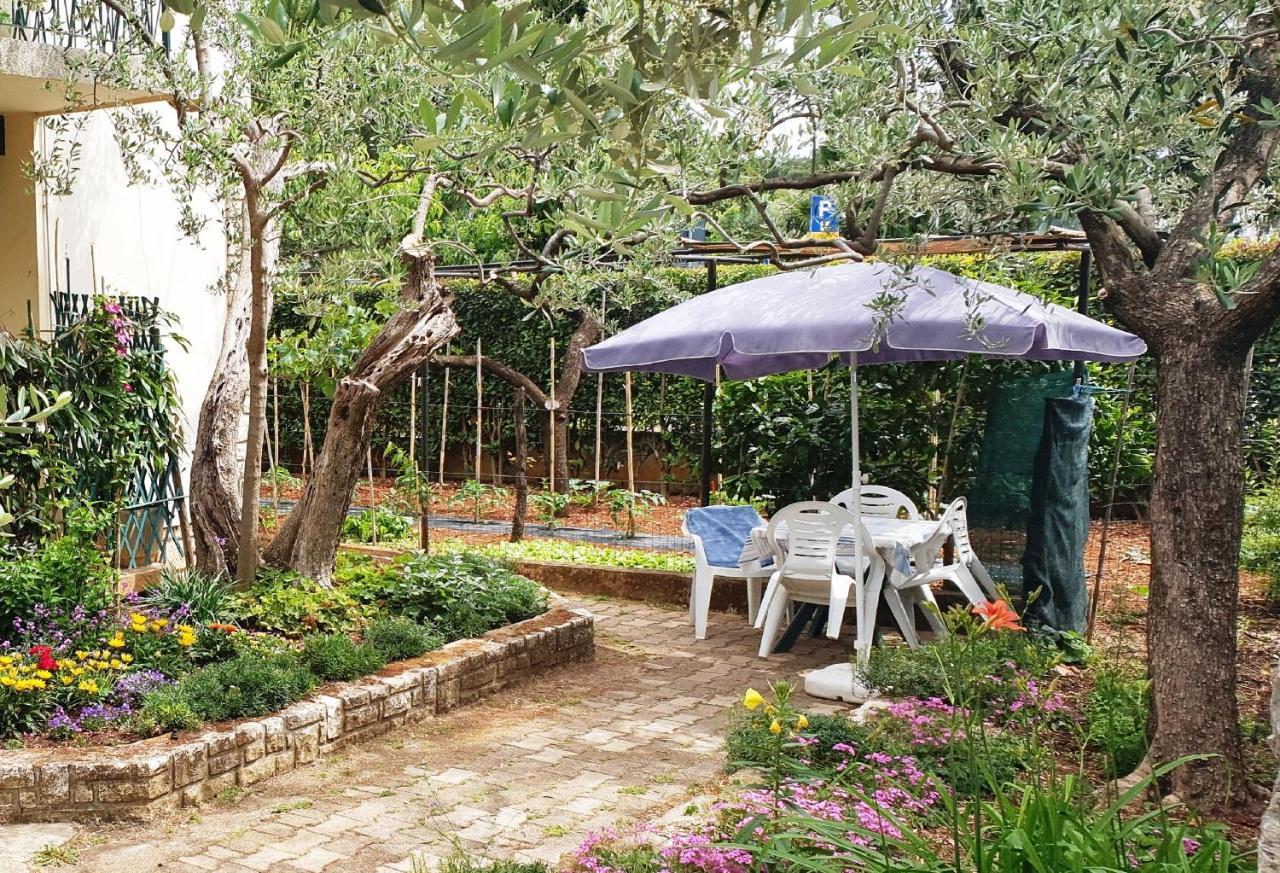 Cecillia Mare Apartments Ρόβινι Εξωτερικό φωτογραφία