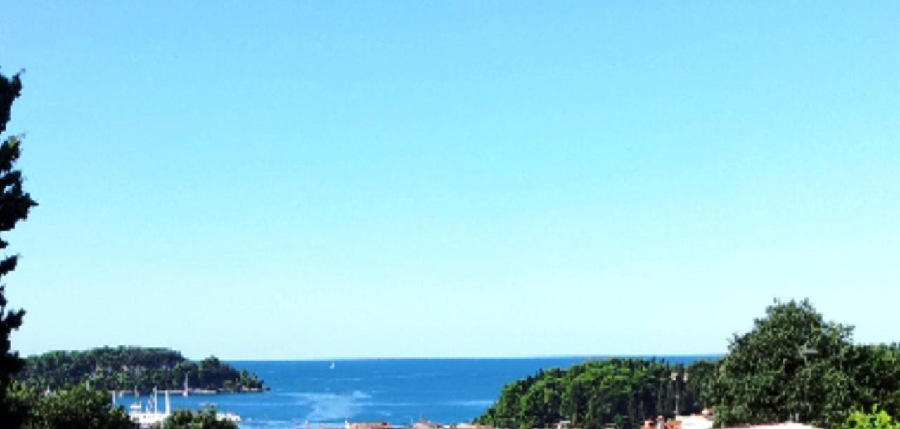 Cecillia Mare Apartments Ρόβινι Εξωτερικό φωτογραφία